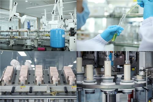 袋鼠媽媽天然國度入選創新服務重點企業,打造強勁品牌力引領行業創新發展