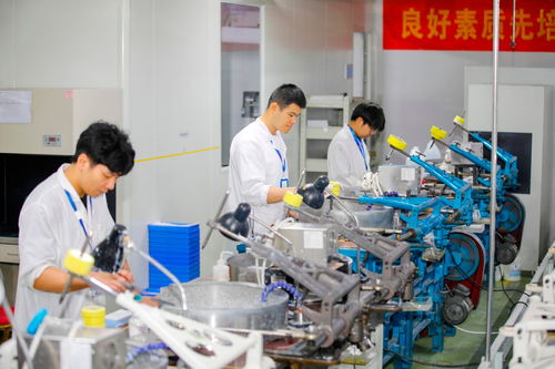 多措并舉促發展 金融活水澆灌科創之花